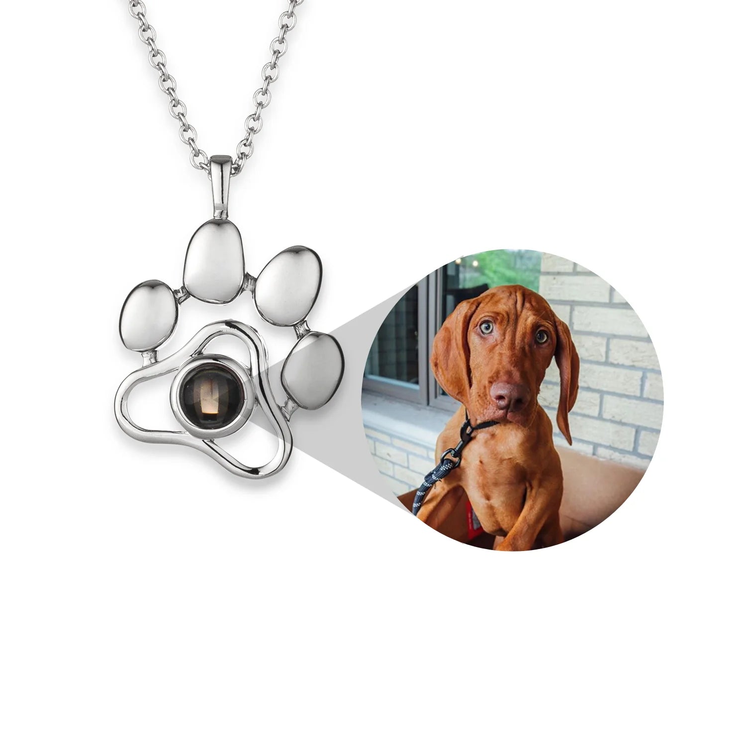 Memory™ Collana personalizzata con foto di animali domestici